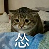 咩