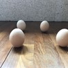 路