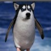 MinDoro米多罗