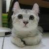 Ming-chun Jeng