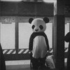 阿乏阿倦