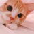 Mr_nini