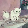 muagi5030
