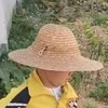 、乐虫