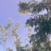 小可