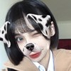 芝士小吉