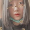 诺凡