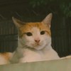 SHIANGZZZ