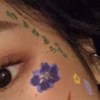 Li