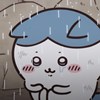 淳