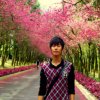 吴锡