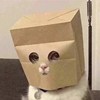 Pats_P