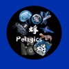 蜉蝣PELAGICS
