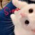 Meow_da