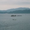 河