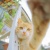 Denia_77
