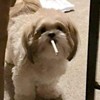 长生