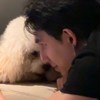 赵廷