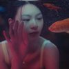 浪漫九龙塘