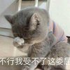 学习机