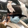 捳龙