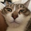 jully6217