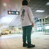 猫在宇宙空间