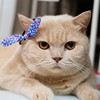 花毛一体