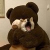 闪闪发光