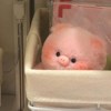 嘻哈蜜瓜