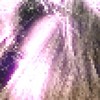 SEAMS