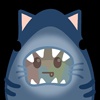 SKCT鲨猫