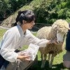 禾惠