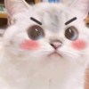 Sailormoon_