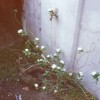 Sepnight