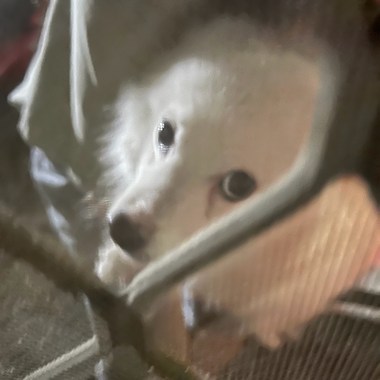 谁