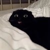 脆皮甜筒