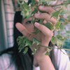 ipsajujuju