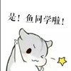 _鸟泅泳鱼在飞