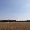 Susususi