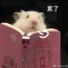 喃音很快乐