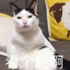 淡水菠萝油