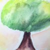 愈创树 The healing tree