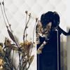 The_PlayCat