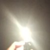 Cut