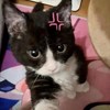 Tino