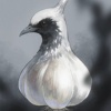 Tiwelia