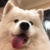 栗吱