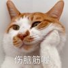 特里波列夫