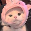 uhan
